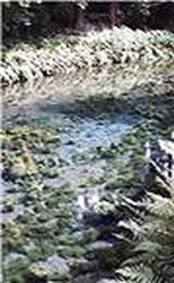 説明: 説明: E:\HP関係\Resized\arai.jpg