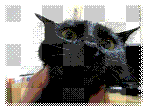 : E:\Resized\c2.jpg