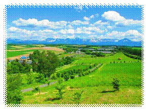 説明: E:\栄養HP O&A\Resized\澤田 写真.jpg