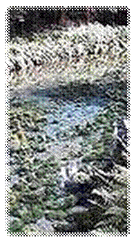 説明: E:\Resized\あらいさん.jpg