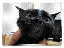 : E:\Resized\c2.jpg
