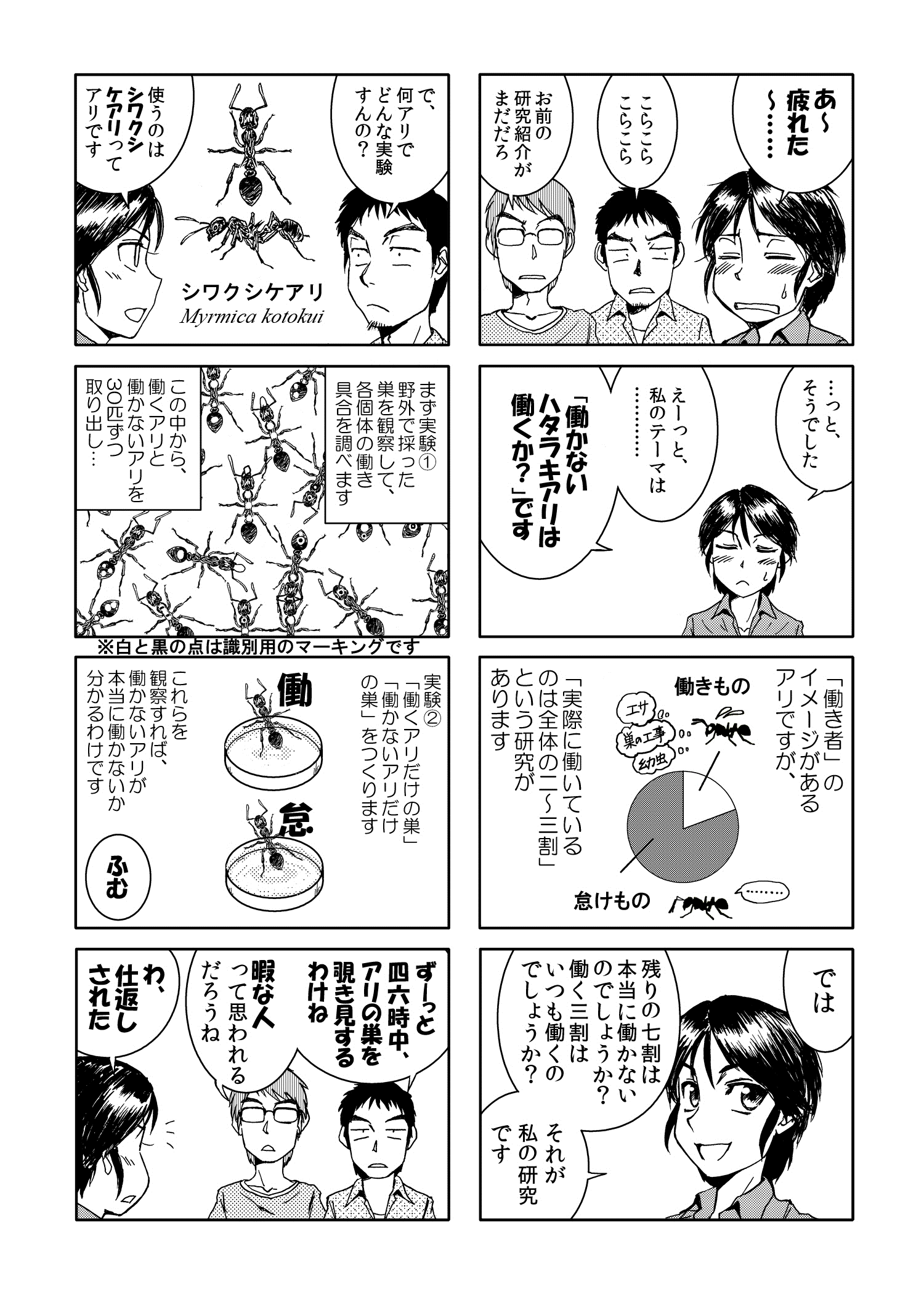 アニメコルな日々