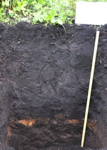 厚層腐植質黒ボク土