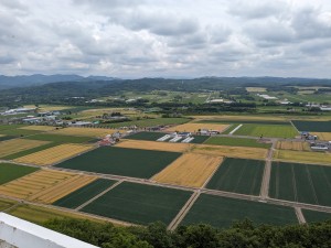 三笠達布山展望台
