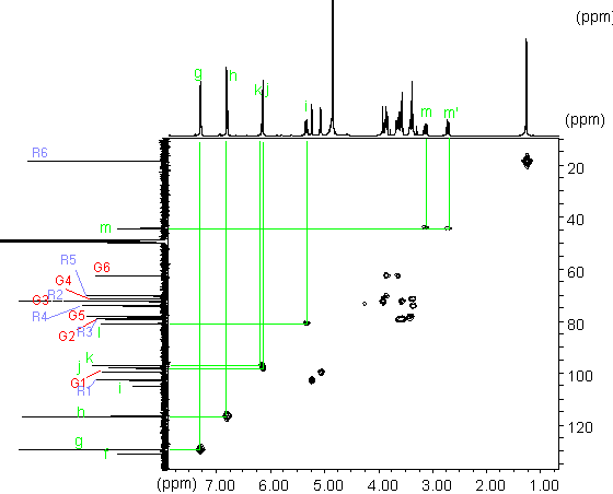 HMQC spectrum of naringin