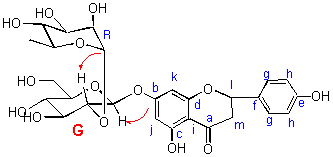 partial structure-1