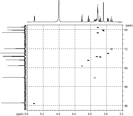 HMQC spectrum of sucrose