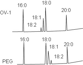 GC chromatogram of FaMe