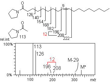 pyrrolidide derivative