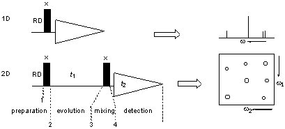 schematic viwe of 2D experiment