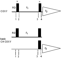 basic CH COSY pulse sequence